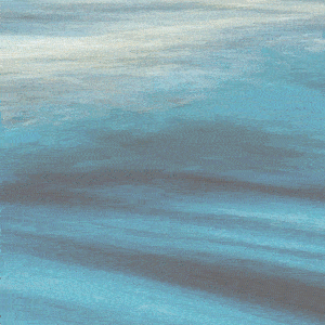 Legislatura Tierra del fuego Noticias